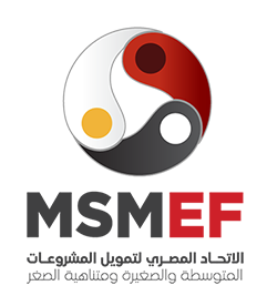 Egyptian Microfinance Federation